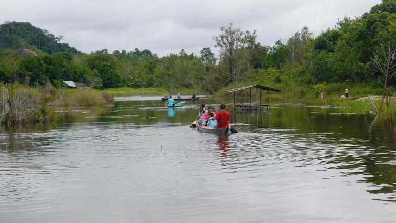 Foto: Danau Padong Pangeran di Sanggau (Kurnia/detikTravel) Foto: Danau Padong Pangeran di Sanggau (Kurnia/detikTravel)
