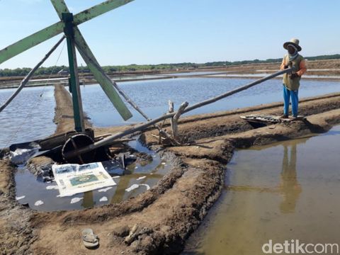 Petambak Garam Pasuruan Kejar Target Produksi/