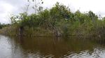 Danau Peninggalan Seorang Pangeran di Kalimantan