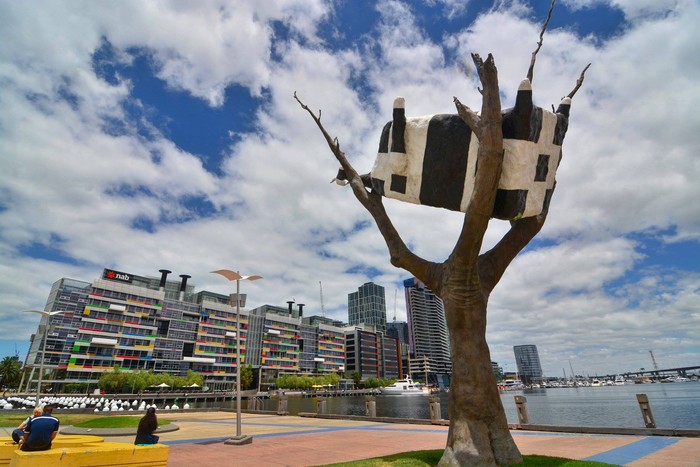 Patung Nyeleneh: Sapi Nyangkut di Pohon