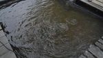 Danau Peninggalan Seorang Pangeran di Kalimantan