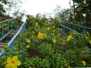 Kebun Raya di Tengah Indonesia-Malaysia
