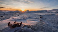 Terlihat betapa indahnya cara alam memamerkan keindahannya. Di antara puluhan bintang laut yang membeku, kita dihipnotis untuk tetap fokus dengan indahnya sunset. Wow! (Ben Adkison/CNN Travel)