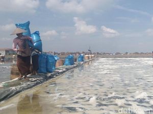 Tolak Impor Garam Industri 3,7 Juta Ton, DPR akan Rapat Gabungan
