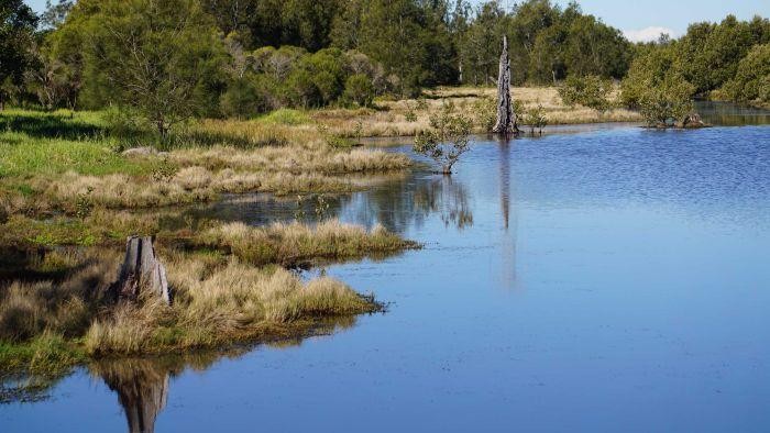 Ancaman Kenaikan Permukaan Laut 80 Tahun Mendatang