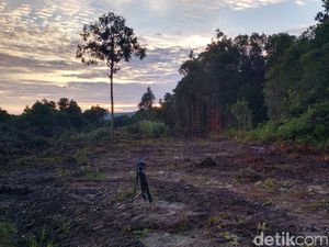 6.000 Ha Lahan Tambang Luhut Bukan HGU, Lantas Apa?