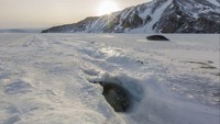 Itu bongkahan batu atau singa laut ya? (Ben Adkison/CNN Travel)