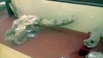 Foto: Museum Ini Sepi, Meski Tiketnya Gratis