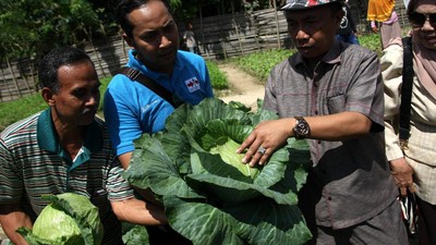Edukasi Teknologi Budidaya Benih Unggul