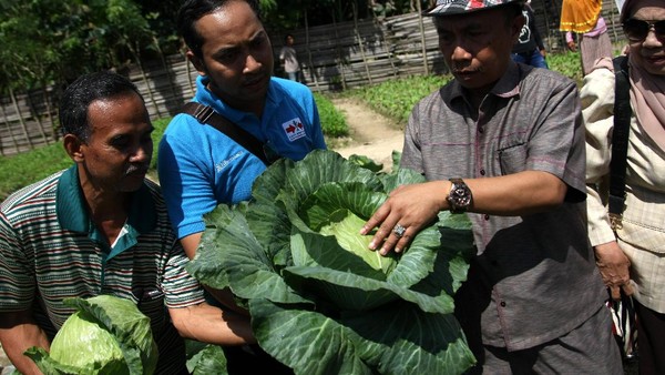 Edukasi Teknologi Budidaya Benih Unggul