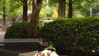 Ueno Zoo Higashi en Shokudau ini ada di kebun binatang Ueno.Pance empuk dihiasi dengan es krim dengan hiasan wajah panda lucu.Foto: Istimewa