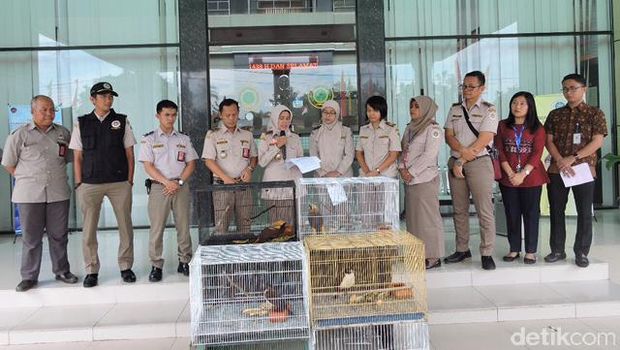 Penyelundupan 4 ekor burung cendrawasih digagalkan.