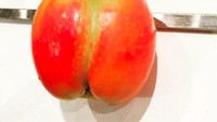 Buah peach tidak menggoda selera makan si kecil. Menurutnya bentuk peach mirip bokong.   Foto: Istimewa