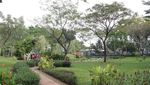 Foto: Tabebuya Sudah Ada di Taman Jagakarsa