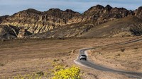 Siapa sangka, di balik gersangnya Taman Nasional Death Valley yang terletak di perbatasan California dan Nevada, tersimpan kehidupan bunga-bunga cantik berwarna emas ini. Ya, fenomena alam ini nyata terjadi di Death Valley (Sivani Babu/BBC Travel)