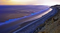 Lokasi pertama lautan bercahaya ada di Pantai Oceanside Pier, di Kota San Diego, negara bagian Southern California, AS. Di pesisir pantai ini, lautan yang seharusnya gelap di kala malam, warnanya berubah jadi pendar biru yang cantik (Alexander S Kunz/Getty/BBC Travel)