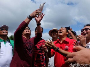 Jaga Ekosistem, Pertamina Lepasliarkan Jalak Bali