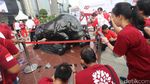Banteng Wulung, Ikon Baru Bursa Efek Diresmikan