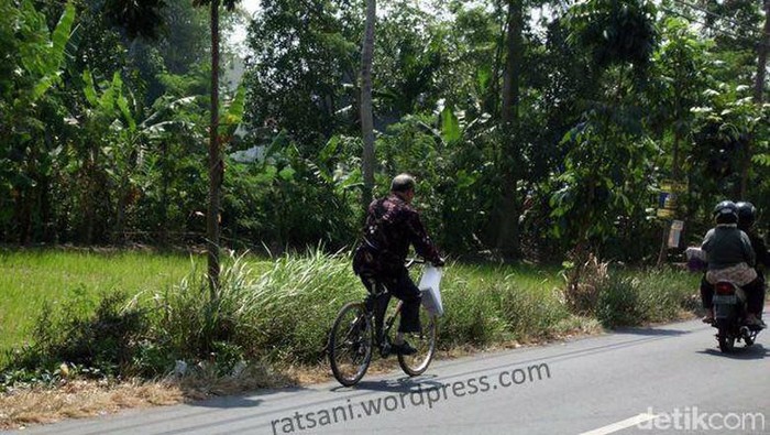 Buya Syafii hingga saat ini masih mengayuh sepeda menuju kampus untuk mengajar. Foto: Dok. ratsani.wordpress.com