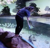 Menanamkan Nilai Konservasi dan Edukasi Kekayaan Laut Indonesia