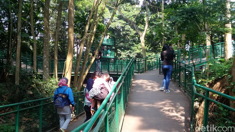 Menikmati Suasana Hutan di Tengah Kota Bandung Menikmati Suasana Hutan di Tengah Kota Bandung