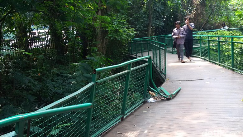 Dear Pemkot Bandung, Pagar Forest Walk Baksil Rusak Bahayakan Pengunjung Dear Pemkot Bandung, Pagar Forest Walk Baksil Rusak Bahayakan Pengunjung