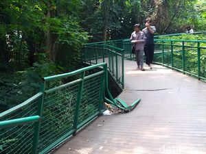 Dear Pemkot Bandung, Pagar Forest Walk Baksil Rusak Bahayakan Pengunjung
