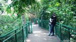 Segarnya Hutan Kota Babakan Siliwangi Bandung