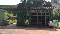 Traveler bisa melihat pohon-pohon rindang yang tertata rapi. Sungguh menyegarkan (Aji Bagoes/detikTravel)