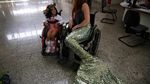 Foto: Mereka Para Putri Duyung Cantik