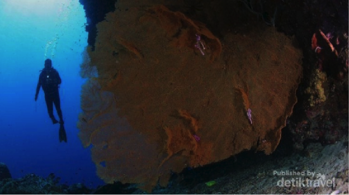 Pelestarian Budaya dan Alam Lewat Festival Pesona Bunaken 2017