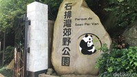 Berkunjung ke Makau, traveler bisa melihat panda di Macao Giant Panda Pavilion (Aji Bagoes/detikTravel)