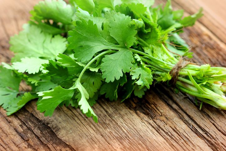 daun ketumbar
