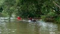 Segara Anakan merupakan tempat berlabuhnya sampah-sampah yang mengalir dari beberapa sungai terutama dari Sungai Citanduy yang hulunya ada di Tasikmalaya, Ciamis. Selain sampah juga membawa lumpur hasil erosi, sejauh ini telah membuat ekosistem di Segara Anakan kurang produktif.
