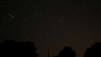 Hujan meteor terlihat di antara bintang-bintang di dekat Malaga, Spanyol. Hujan meteor itu tertangkap kamera di atas patung pria dan anak lak-laki yang didedikasikan untuk penjaga hutan. (REUTERS/Jon Nazca)