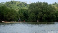 Akibat sampah dan sedimentasi dari Sungai Citanduy menyebabkan masyarakat saat ini sulit mendapatkan ikan. Bahkan burung burung air yang biasa mencari ikan di Segara Anakan juga semakin sulit mendapatkan makanan karena sumber makanan mereka rusak oleh sampah dan endapan lumpur.