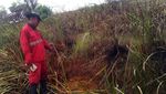 Berjibaku Padamkan Api di Kebakaran Hutan Ogan Ilir