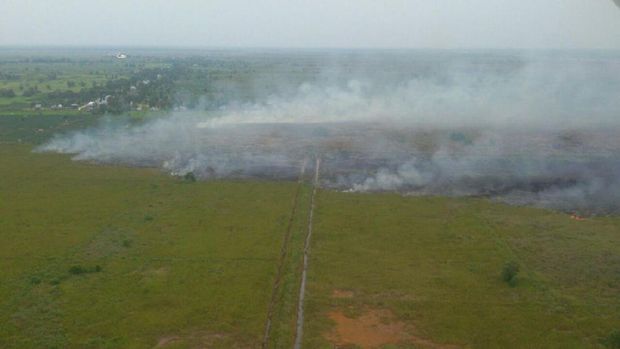 Kebakaran sulit dipadamkan karena angin kencang dan alang-alang yang mudah terbakar