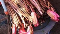 Pergi ke mana pun, ke spot-spot yang indah di sana rasanya seperti milik pribadi. Para turis juga tidak akan terganggu oleh suara kendaraan di jalanan karena di sana jarang mobil. Nuansa di sana juga masih sangat tradisional (Tom Westbrook/BBC Travel)