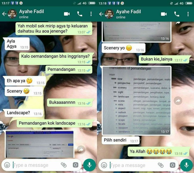 Pilih sendiri arti view di Google Translate (Foto: Dok. Facebook AnaNda AnnissaFillah Shabbychic Homedecor)