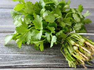 Ini Dia Cilantro Papi yang Viral karena Jago Potong Daun Ketumbar