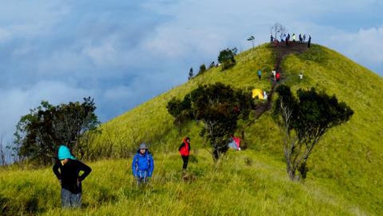 Ilustrasi Gunung Merbabu (Jamal_mahfudz/dTraveler) Ilustrasi Gunung Merbabu (Jamal_mahfudz/dTraveler)