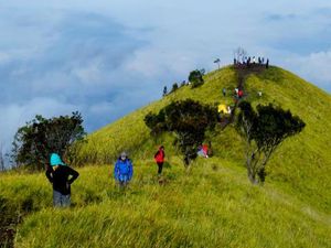 Momen 17-an, Sapu Jagad Beraksi di 17 Gunung Ini