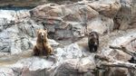 Foto: Seperti Ini Taman Rekreasi Keren China