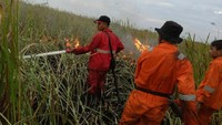 Pemadaman tersebut dilakukan oleh tim terpadu yang terdiri dari Polsek Pemulutan beserta jajarannya, Manggala Agni Daops Banyuasin, TNI, Polri, MPA/Satgas Desa, dan dukungan water bombing 2 unit Satgas Udara dari BNPB. Pool/Kementerian Lingkungan Hidup dan Kehutanan.