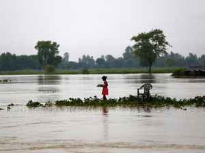 Gajah Bantu Selamatkan Turis yang Terjebak Banjir di Nepal