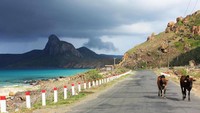 Pulau Con Son masuk dalam bagian Kepulauan Con Don di Laut China Selatan. Tepatnya di Provinsi Ba Rai Vung Tau, Vietnam. Julukan Devil Island, tak lepas dari sejarah mengenai Pulau Con Son, di mana saat zaman kolonial Prancis diubah fungsi menjadi pulau penjara 1861 sampai 1960-an (Tom Westbrook/BBC Travel)