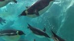 Foto: Seperti Ini Taman Rekreasi Keren China