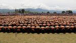 Foto: Saat 12 Ribu Orang Menari Saman