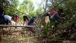 Bersih-bersih Sampah di Kampung Laut Cilacap
